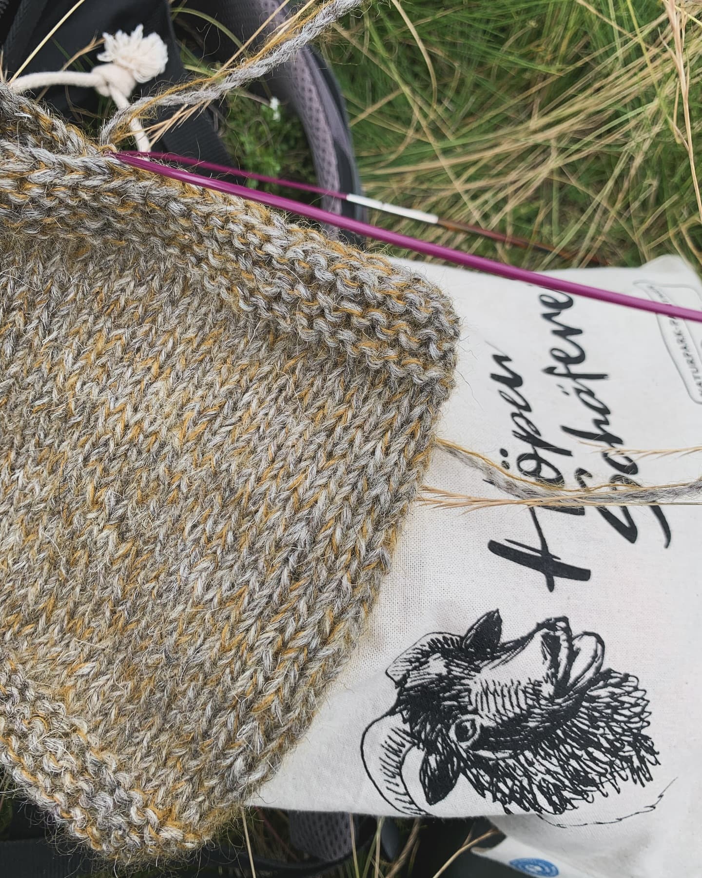 Strickwollproduktion der ersten richtigen Charge läuft, derweil teste ich ein bisschen mit unserer Wolle. Hier mit der zweifädigen Variante, die wir in „dünne Wuul“ umtaufen möchten, und einem farbigen Beilaufgarn als Beispiel. Erster Verkauf der Charge soll zur jährlichen Heidschnuckenauktion am 11. Juli in Müden/Örtze stattfinden! Natürlich gibt es dann auch zusätzlich wie jedes Jahr unsere leckere Heidschnuckenbratwurst. #hoepenschaeferei #schneverdingen #heidschnucken #naturparklueneburgerheide #regionalewolle